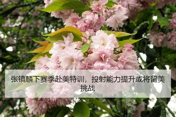 zhang-zhen-lin-xia-sai-ji-fu-mei-te-xun-tou-she-neng-li-ti-sheng-huo-jiang-liu-mei-tiao-zhan-3-376.jpg