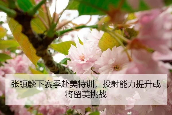张镇麟下赛季赴美特训，投射能力提升或将留美挑战