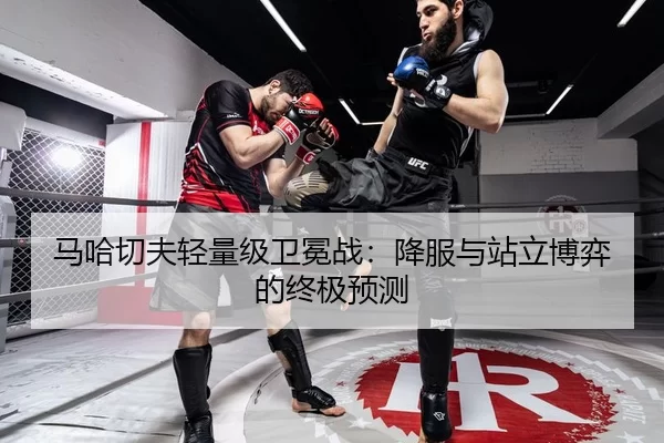 马哈切夫轻量级卫冕战：降服与站立博弈的终极预测