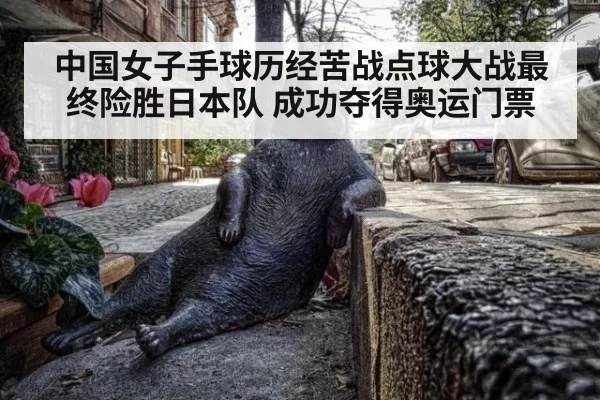 中国女子手球历经苦战点球大战最终险胜日本队 成功夺得奥运门票